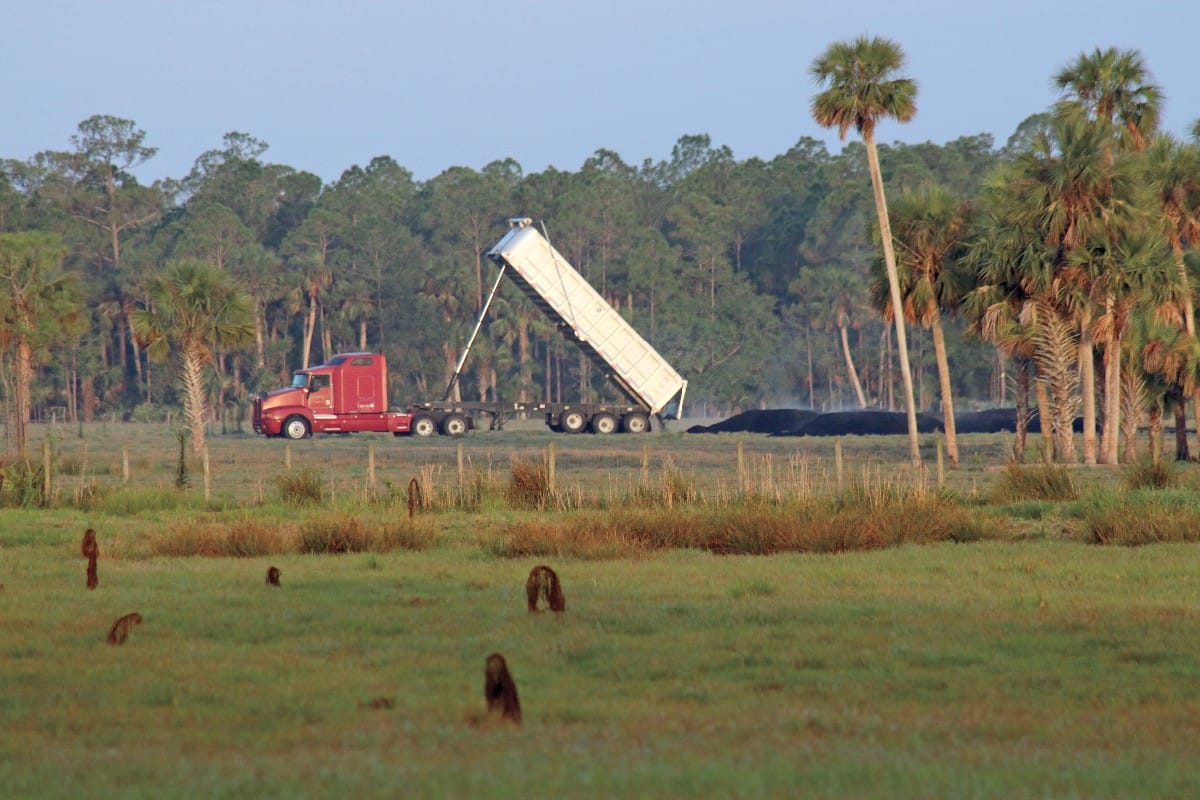 Protecting Florida's Springs