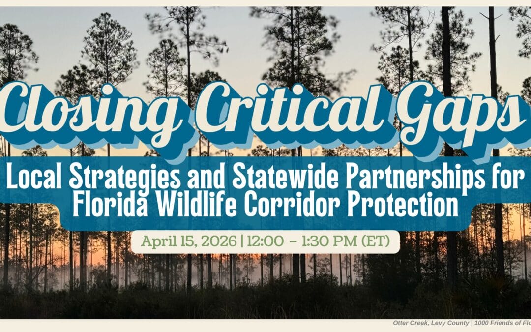 Closing Critical Gaps: Local Strategies and Statewide Partnerships for Florida Wildlife Corridor Protection