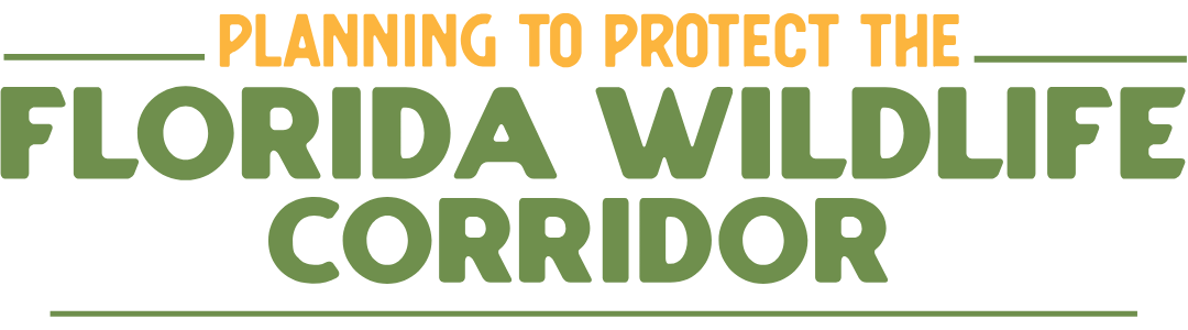 Planning to Protect the Florida Wildlife Corridor logo