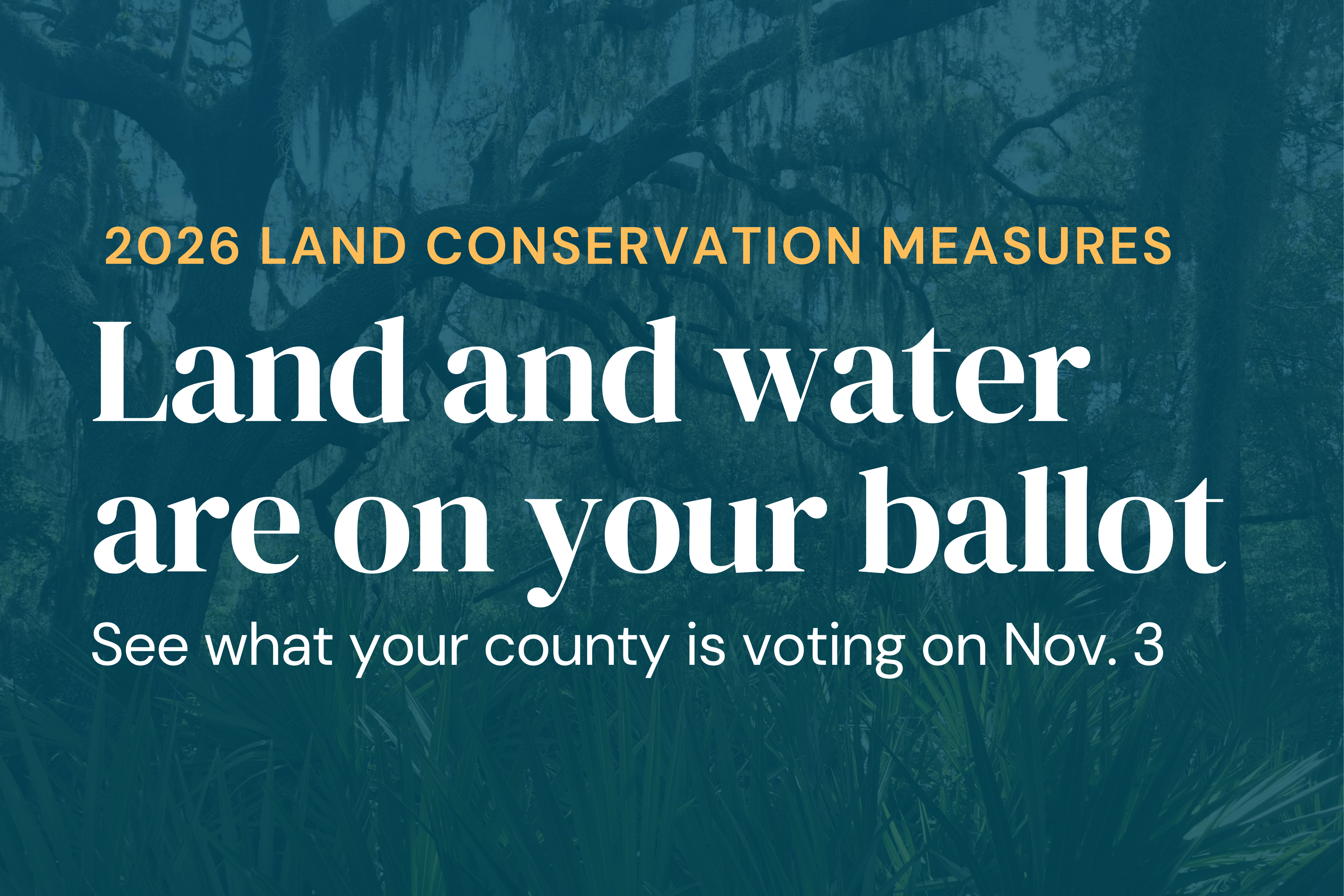 Land and water are on your ballot: 2026 land conservation measures