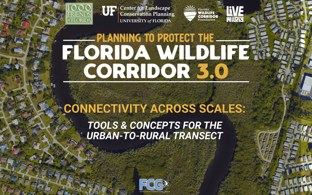 Planning to Protect the Florida Wildlife Corridor 3.0: Connectivity Across Scales