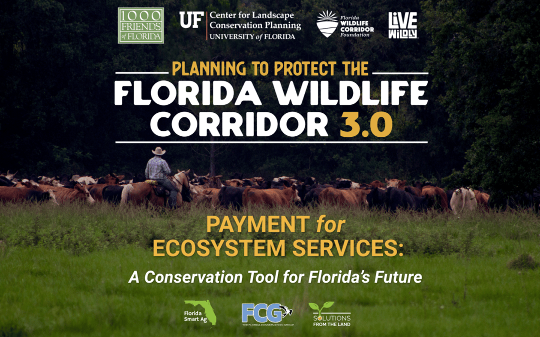 Planning to Protect the Florida Wildlife Corridor 3.0: Payment for Ecosystem Services