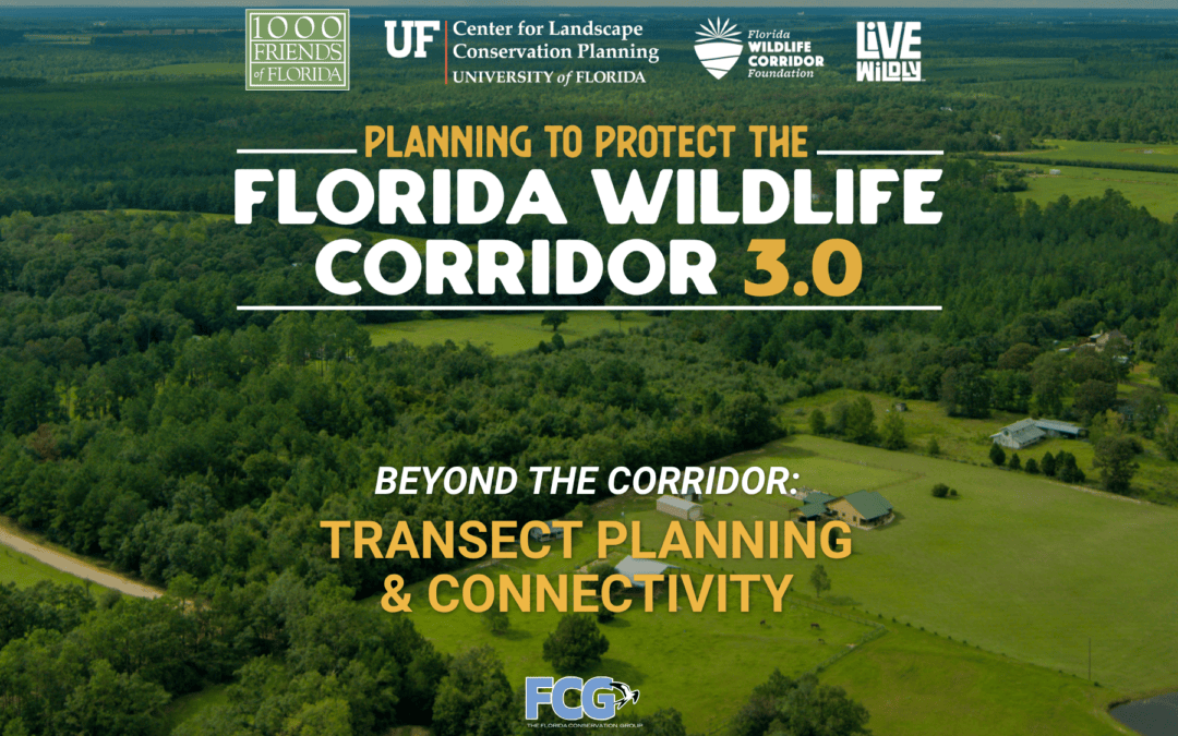 Planning to Protect the Florida Wildlife Corridor 3.0: Transect Planning and Connectivity